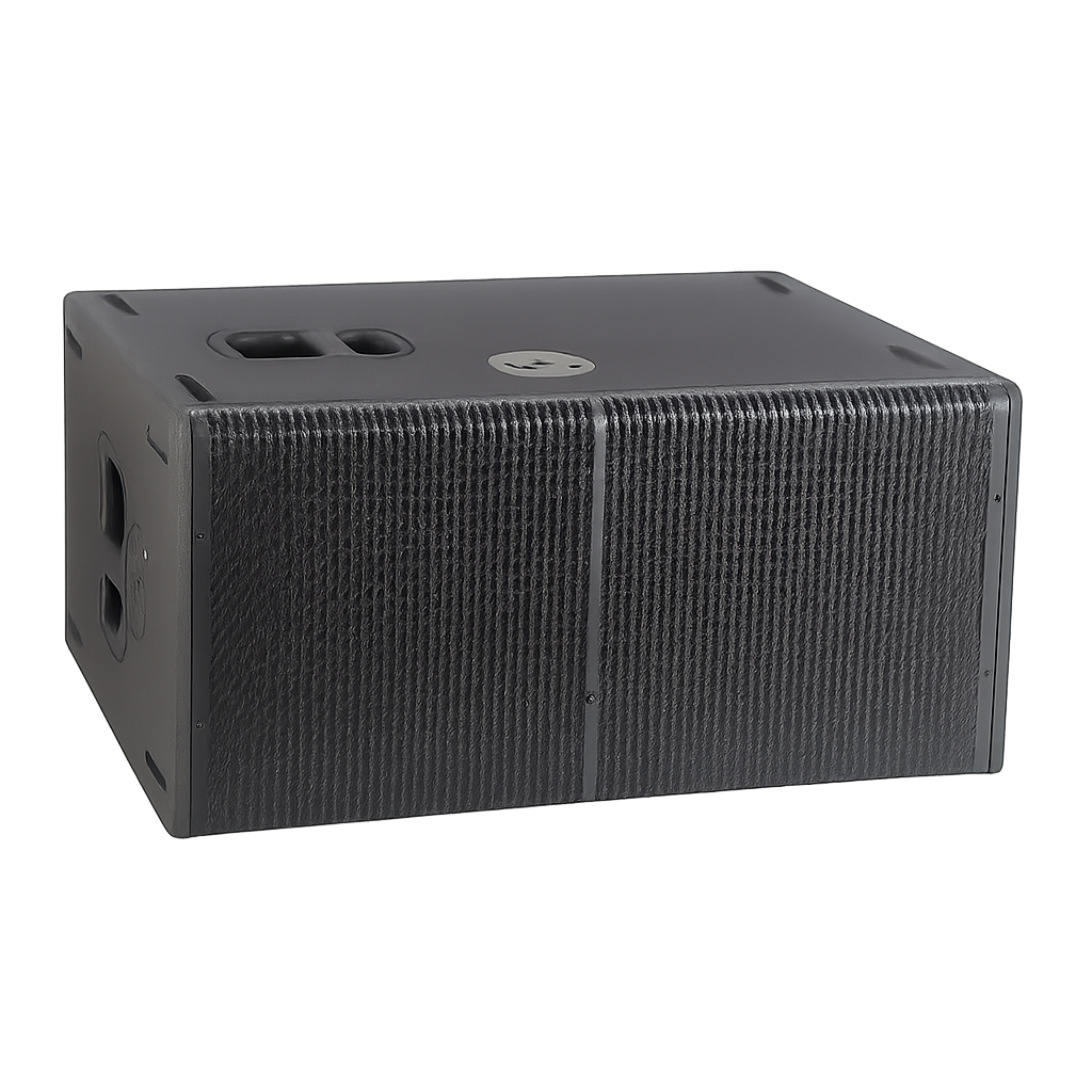 Dubbel 12 inch actieve subwoofer 1000Watt