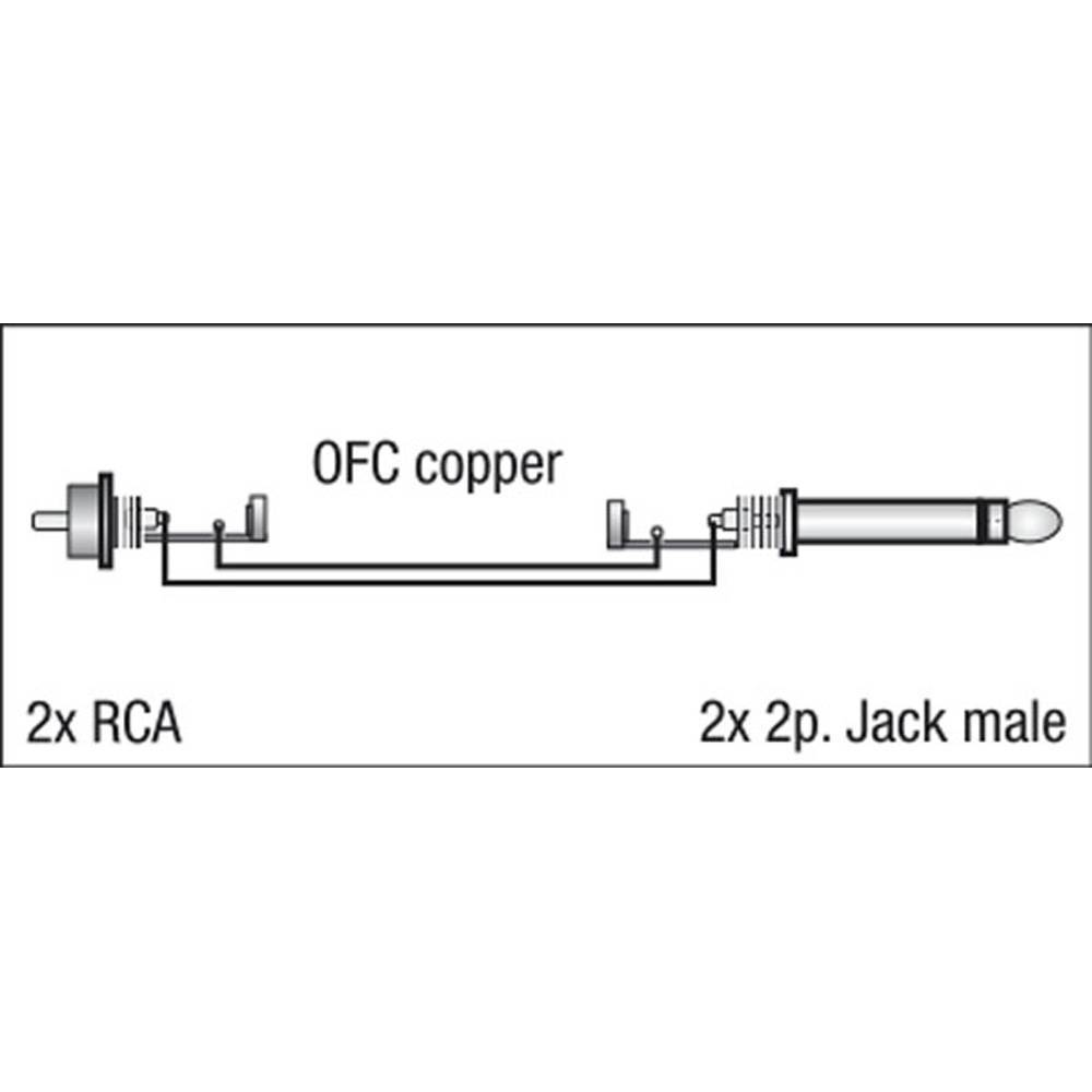 DAP FL23 2X JACK NAAR 2X RCA 3M