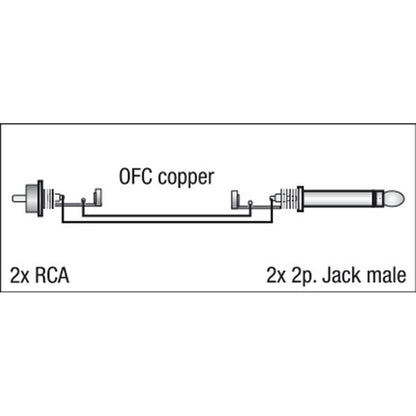 DAP FL23 2X JACK NAAR 2X RCA 3M
