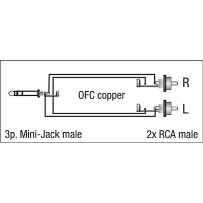 DAP FL30 1X MINI JACK NAAR 2X RCA 150CM