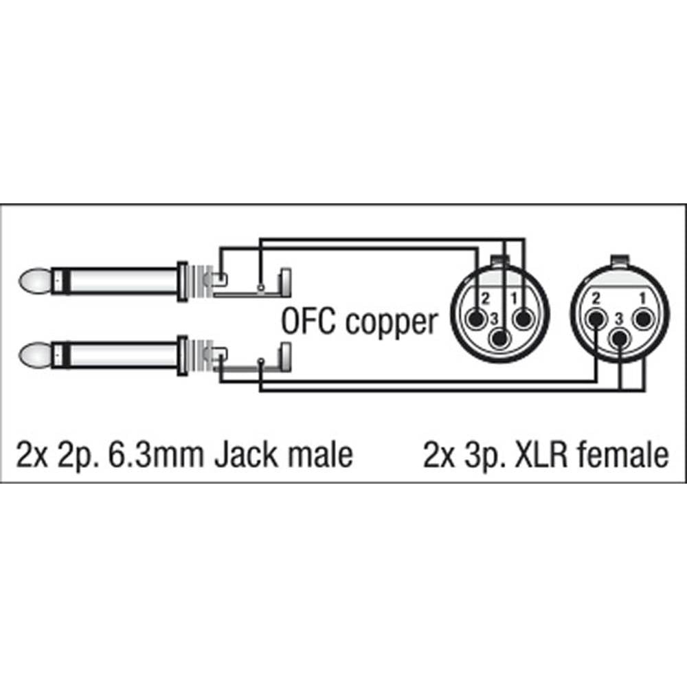 DAP FL43 2X XLR FEMALE NAAR 2X JACK 150CM