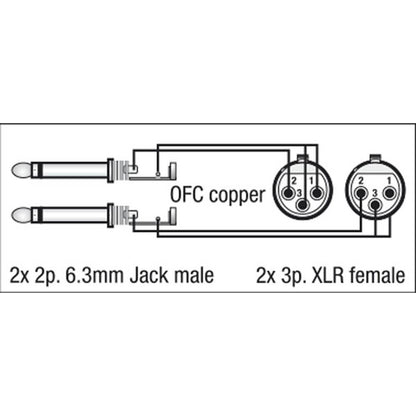 DAP FL43 2X XLR FEMALE NAAR 2X JACK 150CM