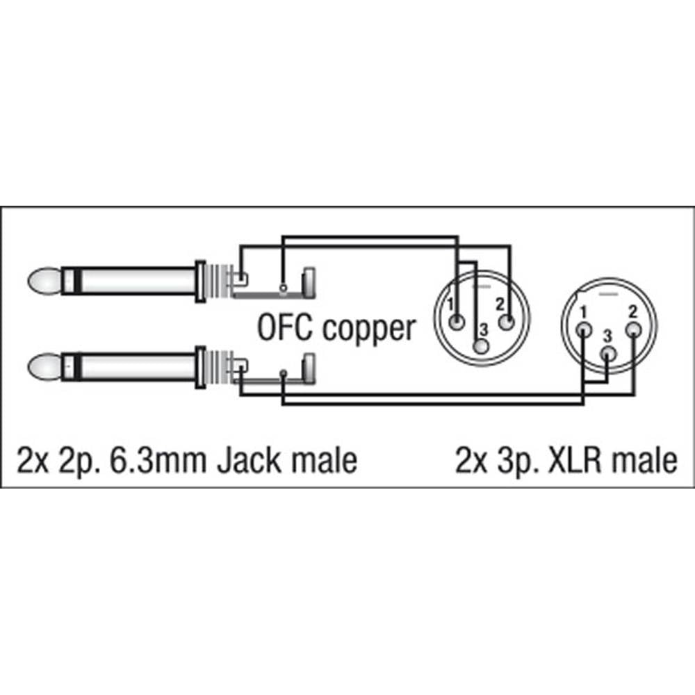 DAP FL44 2X XLR MALE NAAR 2X JACK 150CM