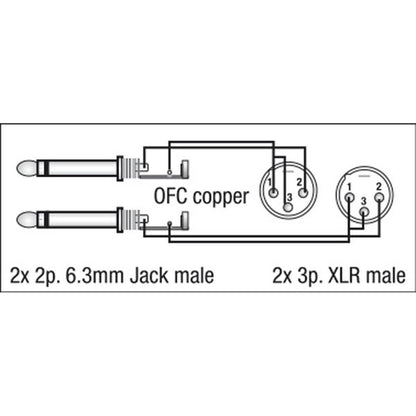 DAP FL44 2X XLR MALE NAAR 2X JACK 150CM